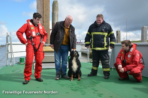 Tierrettung, 08.04.2016