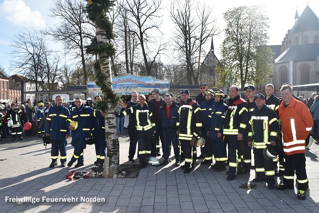 Maibaum, 30.04.2016