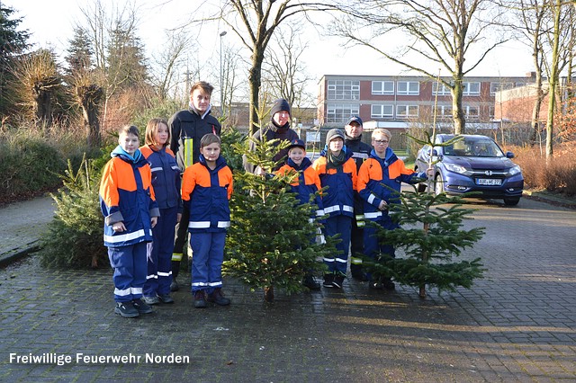 Weihnachtsbaumaktion, 09.01.2016