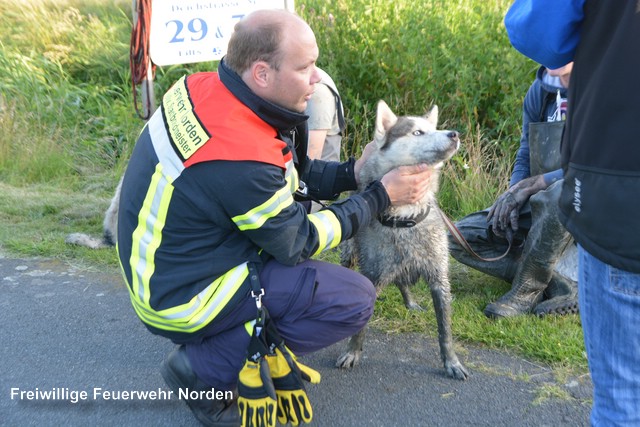 Tierrettung, 06.07.2016