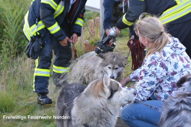 Tierrettung, 06.07.2016