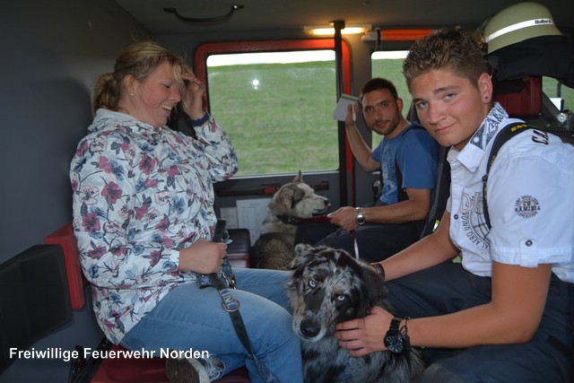 Tierrettung, 06.07.2016