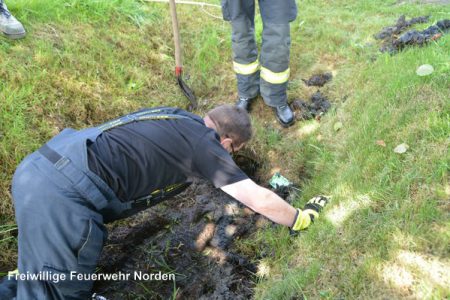 Tierrettung, 29.07.2016