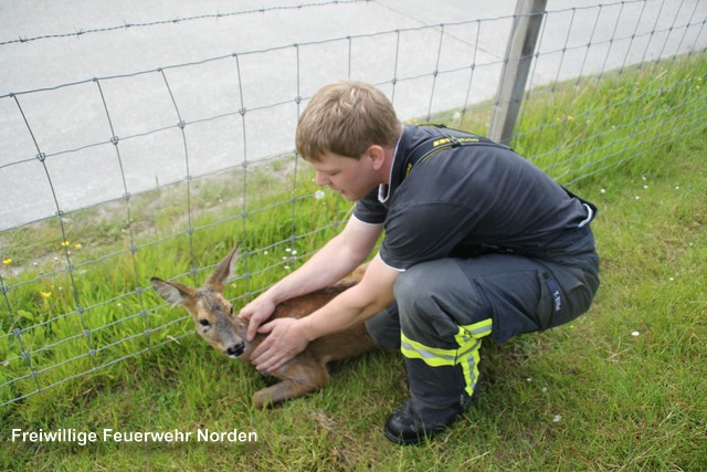 Tierrettung, 19.05.2016