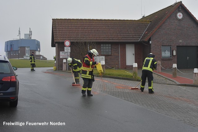 Ölschaden am Westhafen, 20.01.2017