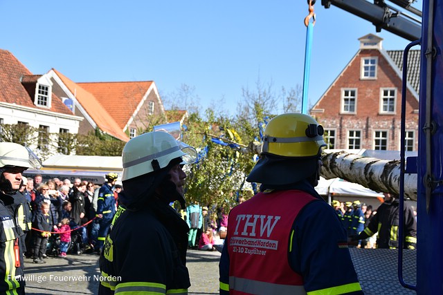 Gemeinschaftliches Maibaumaufstellen, 30.04.2017