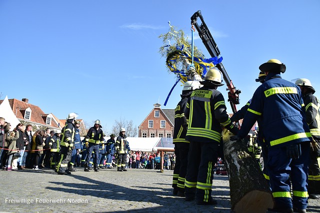 Gemeinschaftliches Maibaumaufstellen, 30.04.2017