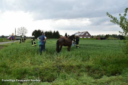 Tierrettung, 14.05.2017