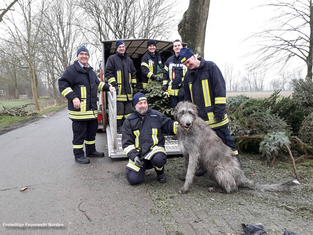 Weihnachtsbaumsammelaktion, 13.01.2018