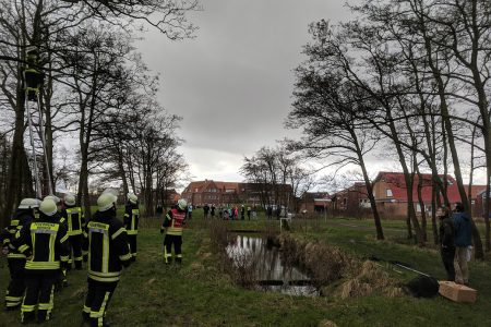 Möwe in Drachenschnur gefangen, 02.02.2018