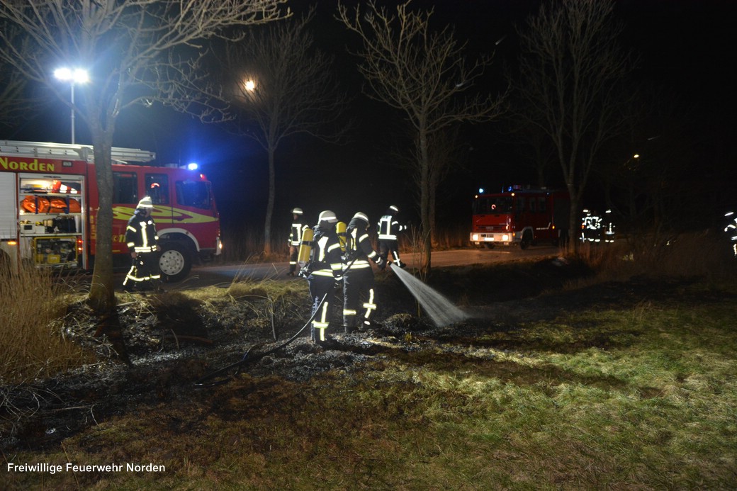 Flächenbrand, 02.03.2018