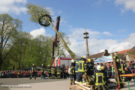 Maibaum 2018