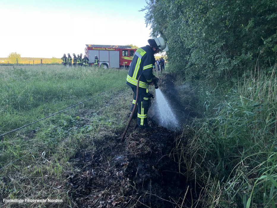 Böschungsbrand, 01.07.2018