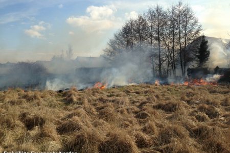 Flächenbrand, 03.04.2013