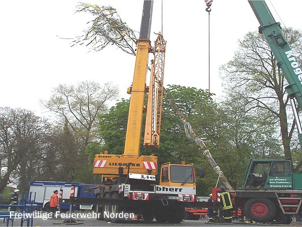 Maibaum 2005