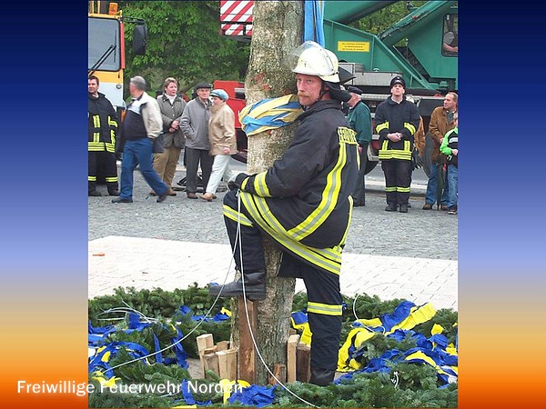 Maibaum 2005