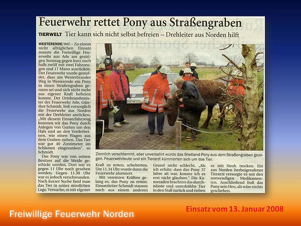 Presseberichte 2008