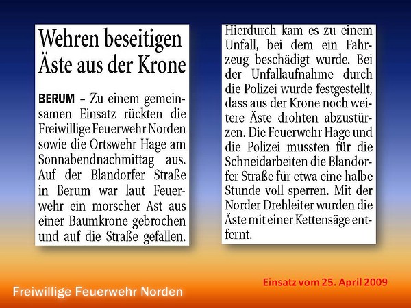 Presseberichte 2009