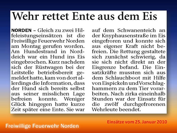 Presseberichte 2010