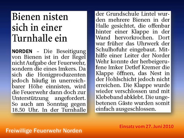 Presseberichte 2010