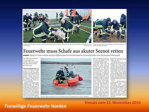 Presseberichte 2010