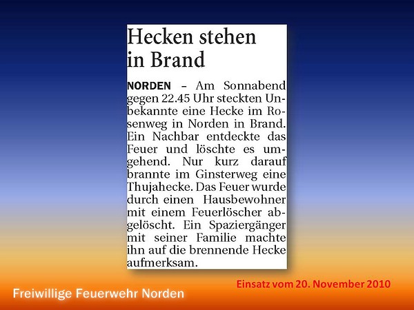 Presseberichte 2010