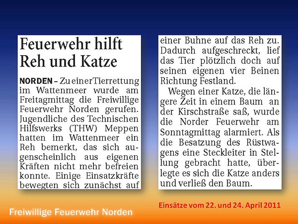 Presseberichte 2011