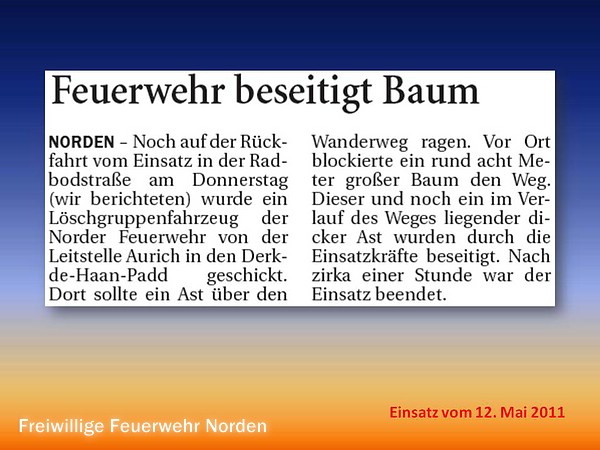 Presseberichte 2011