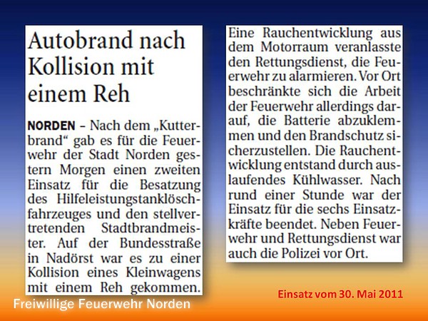 Presseberichte 2011