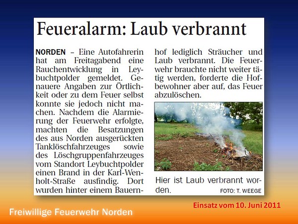 Presseberichte 2011