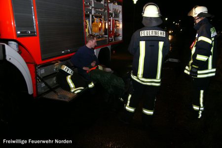 Div. Baumbeseitigungen, 07.12.2011