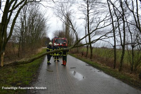 Astbeseitigung Altendeichsweg, 27.12.2013