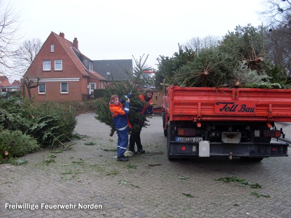 Weihnachstbaumsammelaktion, 15.01.2011