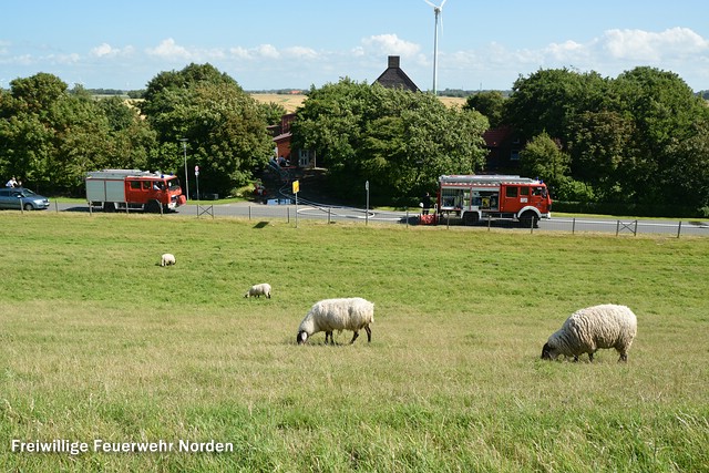 Gebäudebrand, 21.07.2015