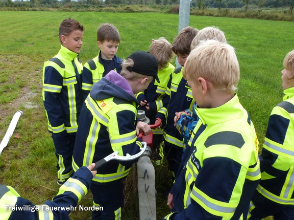 Schläuche in der Feuerwehr, 14.09.2013