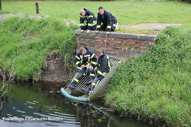 Umwelteinsatz, 06.05.2012