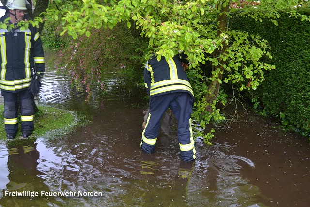 Regenmengen überschwemmen Grundstück, 08.05.2014